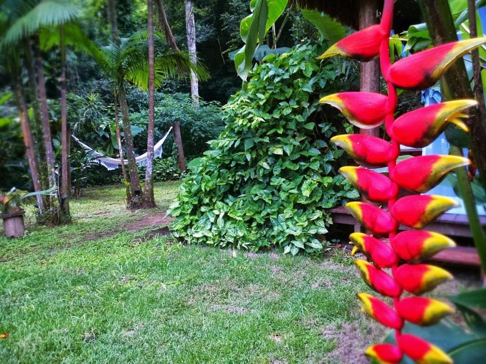 Sumatra Ecolodge Sao Sebastiao  Eksteriør bilde